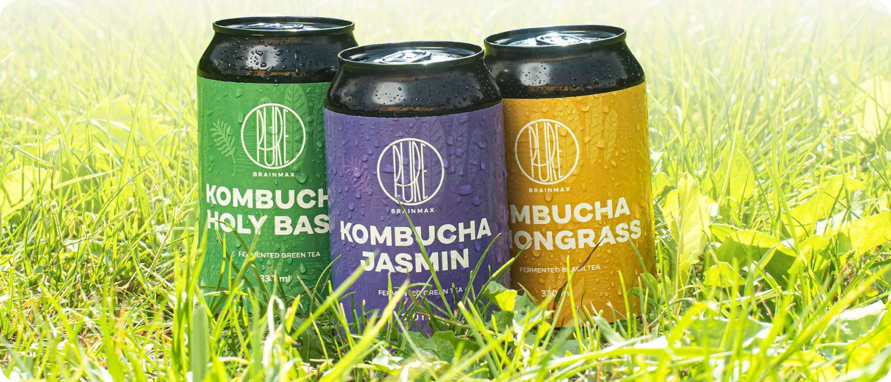 kombucha